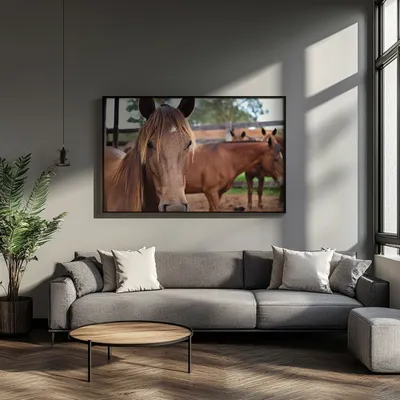 Quadro André Omizolo | Cavalo Pantaneiro Retangular Paisagem